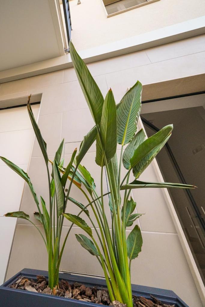 Run House 07 Rooms & Apartments Cassano delle Murge Exterior photo